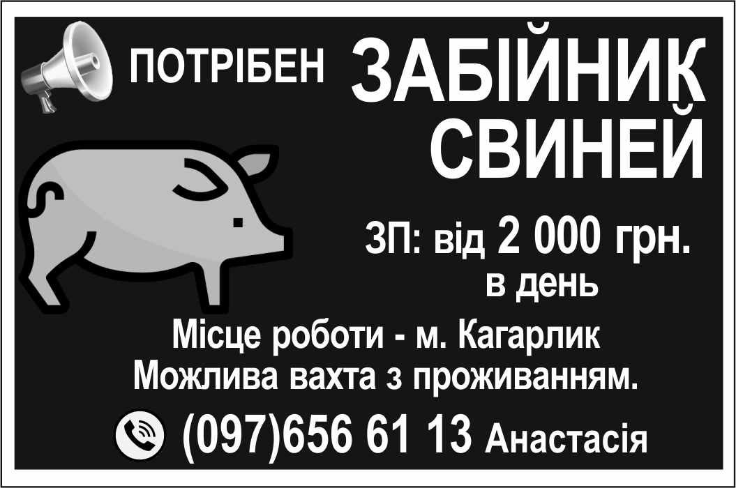 10086102